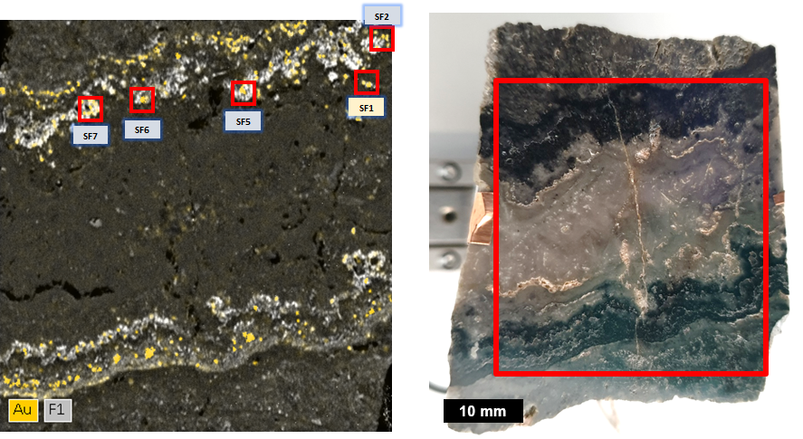 図1：Auでオーバーレイされた全X線強度のSEM-XRFハイパーマップ。サンプルはニュージーランドのカランガハケ金鉱山のものです。 分析面積は約45×45mm²です。 