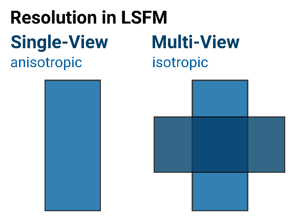 Resolution in LSFM - anisotropic and isotropic