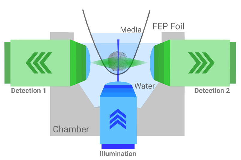 Illustration of Papilio5D's horizontal lenses, dual-view detection, and Bessel or Gaussian illumination.