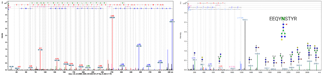 MALDI-MS/MS spectra
