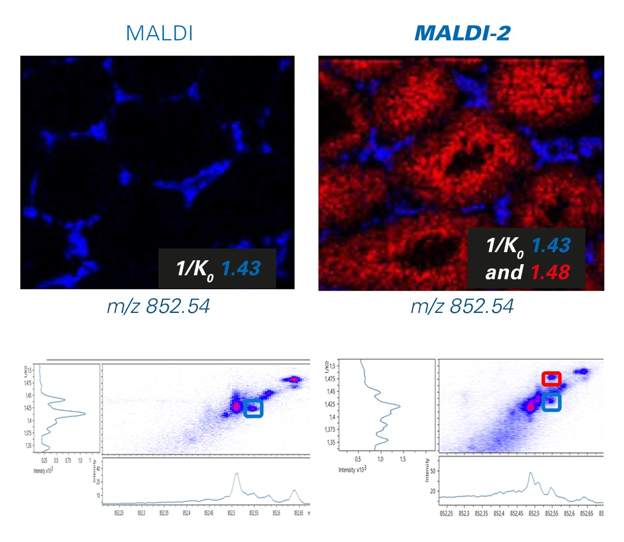 timsTOF fleX MALDI-2 and TIMS