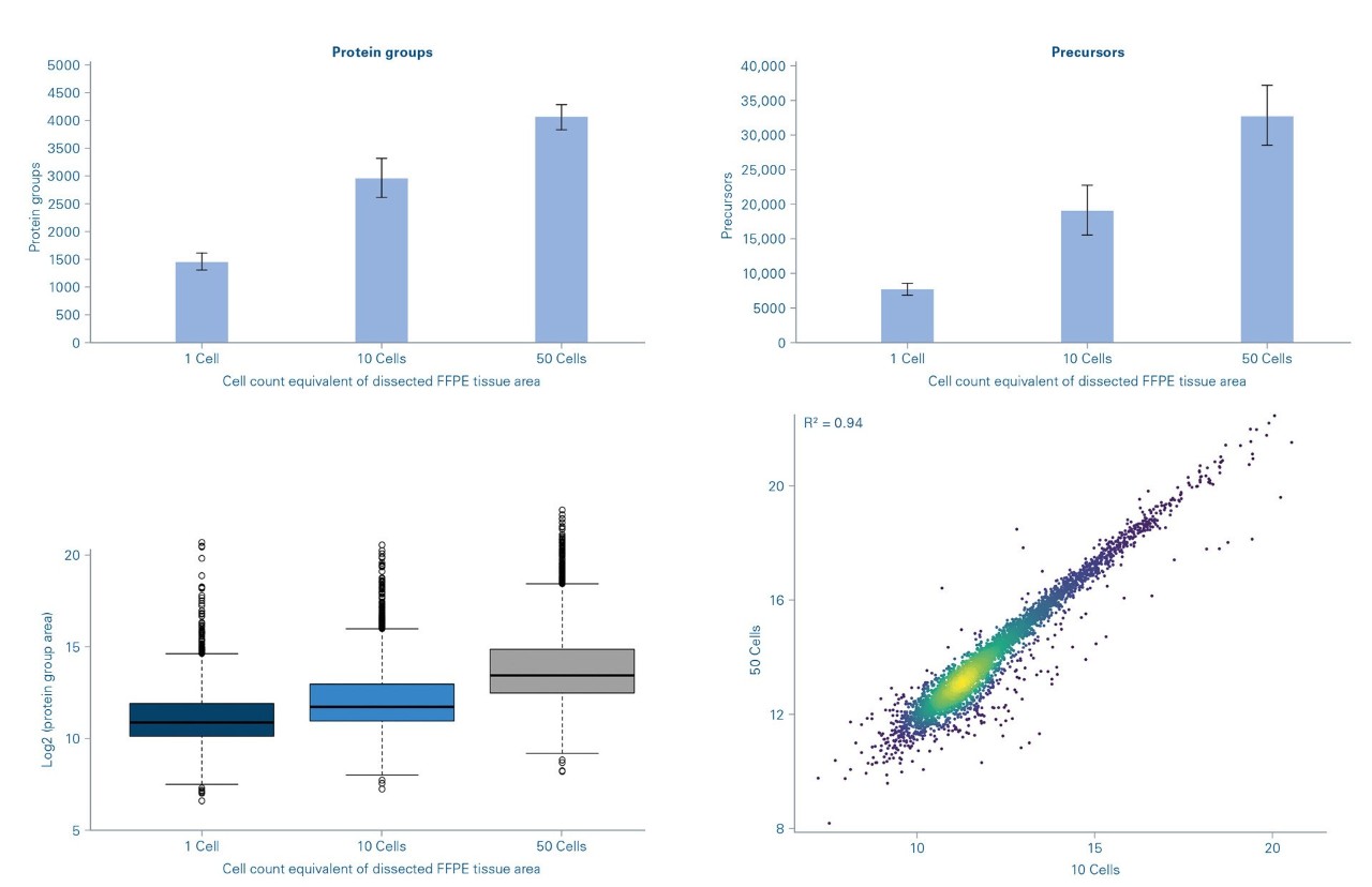 The analysis of protein group and precursor identification rates in FFPE Mouse liver tissue