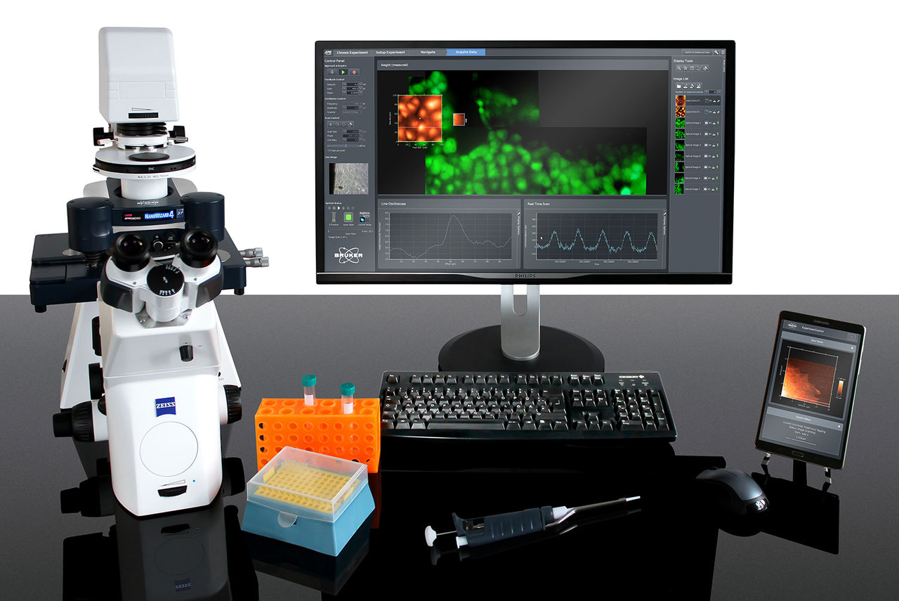 JPK NanoWizard 4 XP BioScience | Bruker