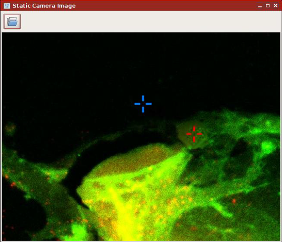 Overlay of CLSM scan with trap positioning using NanoTracker 2 software, showing red and blue crosshairs over a static fluorescence image.
