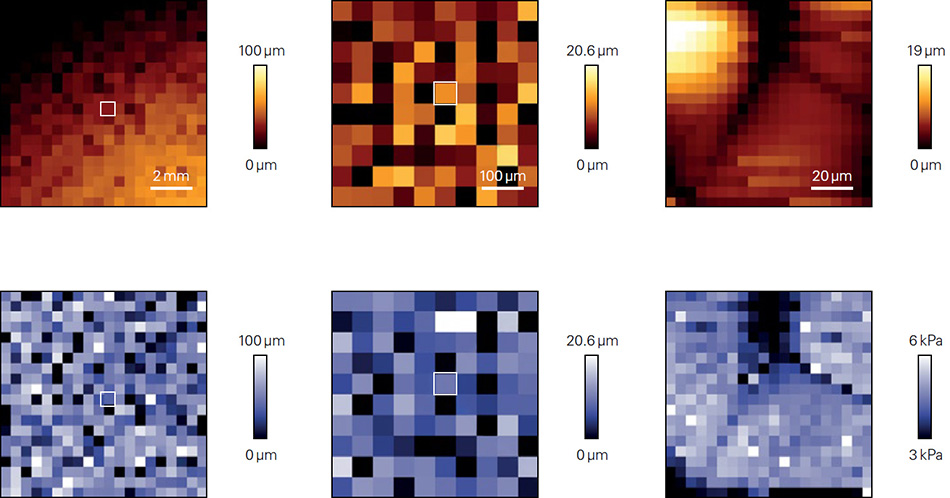 Figure showing large-area mapping of a 1 kPa EasyCoat Petrisoft hydrogel using SmartMapping: top row displays topography with progressive zoom into marked region; bottom row shows corresponding Young’s Modulus map.