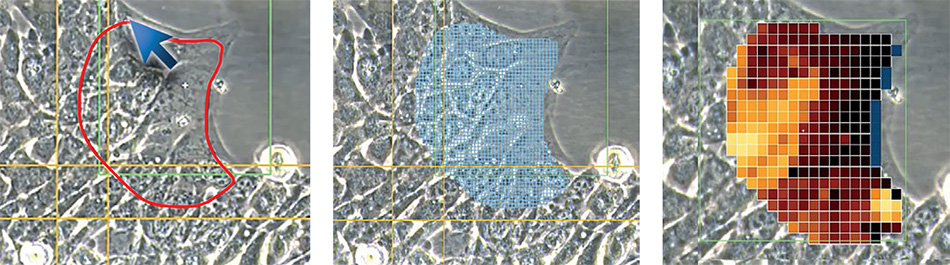 Figure showing AFM mapping process: freehand selection of 100μm × 100μm area, definition of mapping points, and resulting AFM map of the selected region.