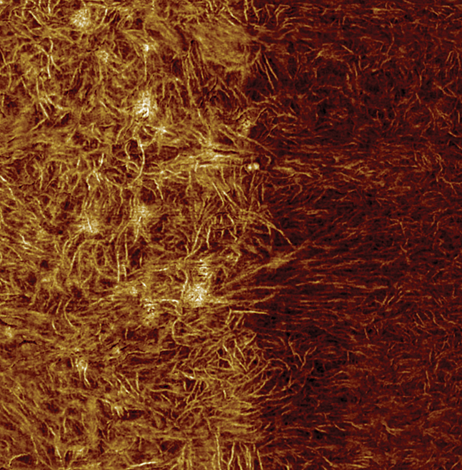 マルチモード 8 HR AFM - タイとシーラント層の間のモジュラス画像