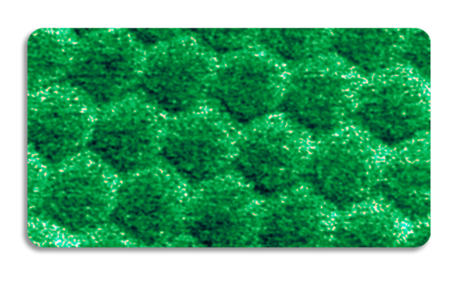 ディメンションファストスキャンAFM - 六角ホウ素窒化物のグラフェンのピークフォースQNMモジュラス画像