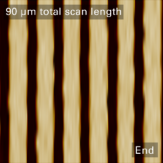 End of an array of 360 trenches with an overall scan size of 90x2 µm (16384x16 px) in PeakForce Tapping with an SAA-HPI probe. Critical dimension analysis showed no scanner artifacts or tip degradation over the full range.