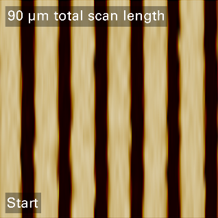 Start of an array of 360 trenches with an overall scan size of 90x2 µm (16384x16 px) in PeakForce Tapping with an SAA-HPI probe. Critical dimension analysis showed no scanner artifacts or tip degradation over the full range.