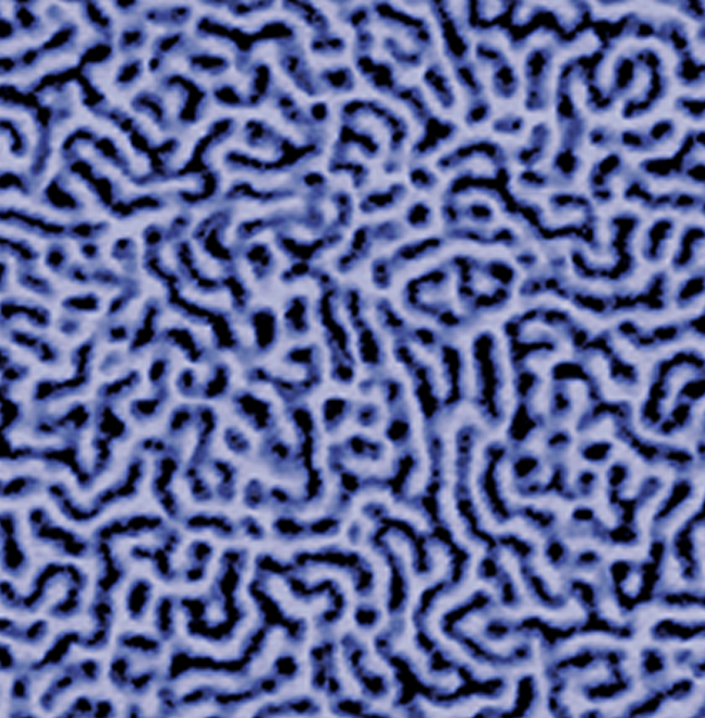 イノバAFM - SBSトリブロックコポリマーにおけるマイクロフェーズ分離