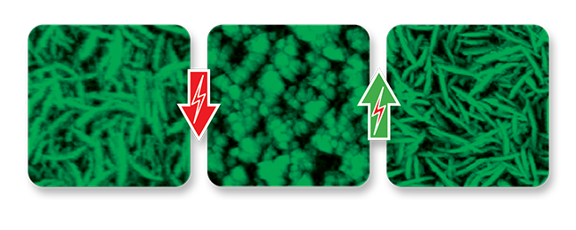 マルチモード 8 HR AFM - バナジウムペントキシド薄膜画像付きタッピングモード