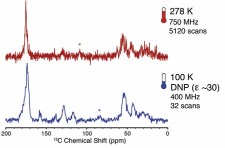 A wide range of biological samples have been successfully enhanced on the Bruker DNP-NMR spectrometer including small peptides, soluble proteins, membrane proteins, and large biological complexes.