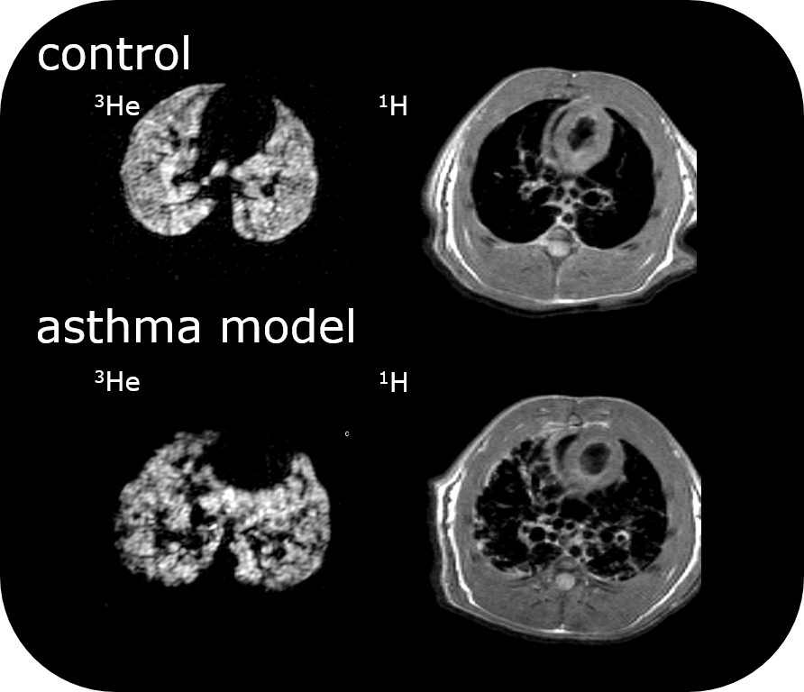 BioSpec 47/40 Bruker
