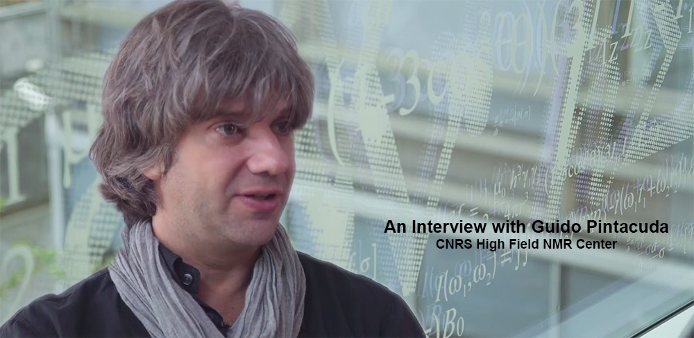 George Radda Characterizing Complex Biological Systems Using Ultra-high Field NMR ...