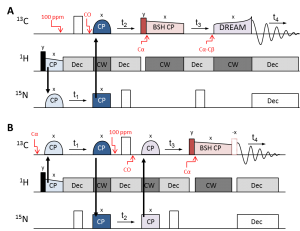 4D hNCOCαCβ sequence