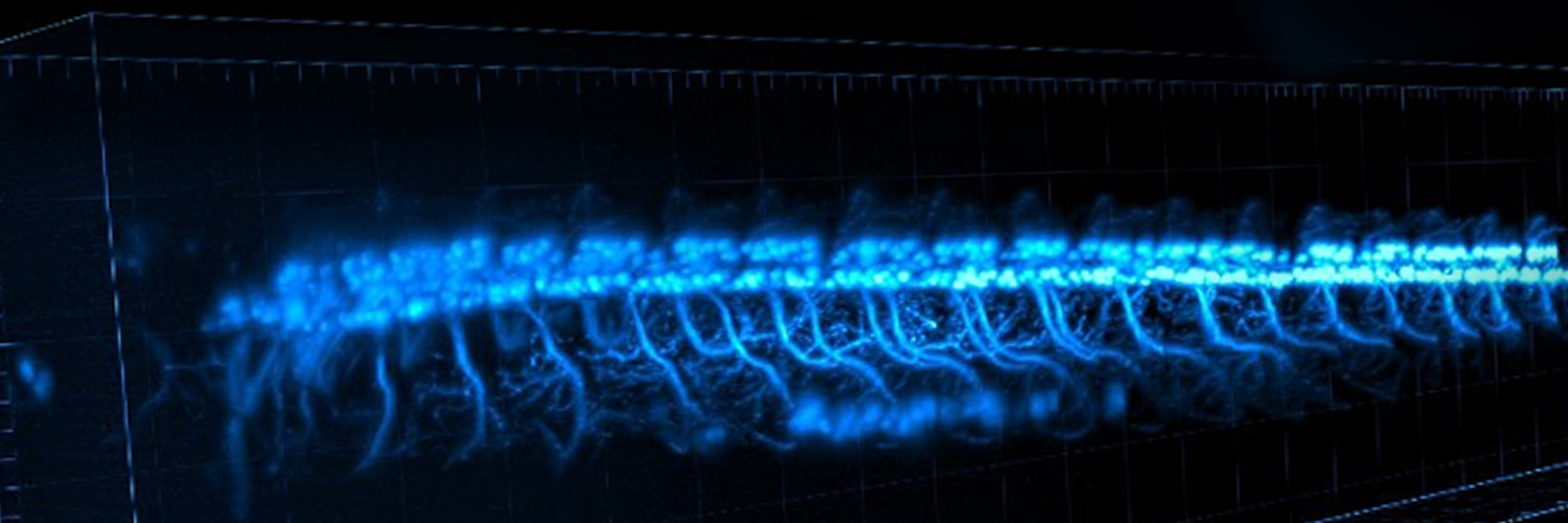 Zebrafish Imaging Workshop