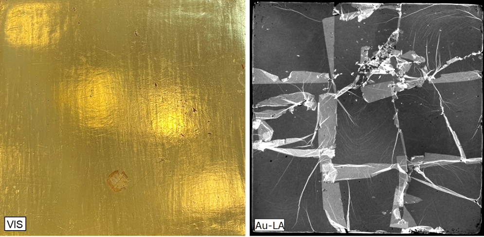 Gilded mock-up in visible light (VIS) and micro-XRF distribution image of gold (Au-La) using the M6 JETSTREAM. Due to the non-infinity of the gilding, the gold intensity increases, if a leave has kinks or two leaves are overlapping.