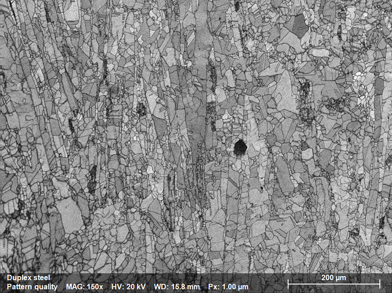 도 1.1: 스테인레스 스틸 샘플의 미세 구조를 묘사하는 패턴 품질 맵; JSM IT200 SEM에 장착된 e-Flash XS EBSD 검출기를 사용하여 맵을 획득했습니다.