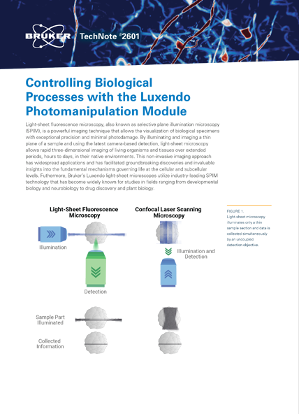 Controlling Biological Processes with the Luxendo Photomanipulation Module