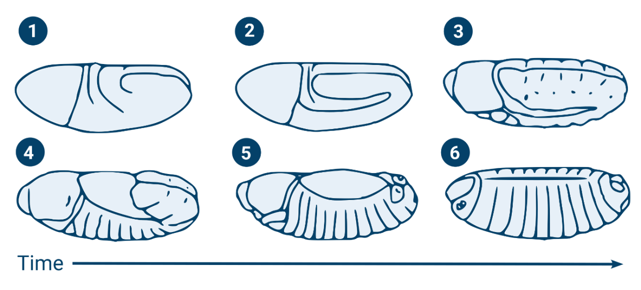 High Temporal and Spatial Resolution