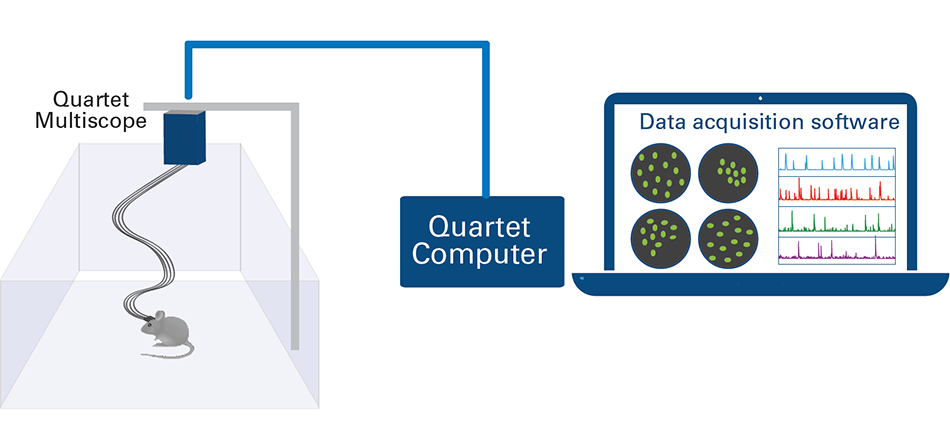 Tech Note: Deciphering Brain Function with the World's First Multi ...