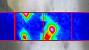 스크린 샷 OPUS 소프트웨어 FT-IR 이미징 및 현미경 검사법.