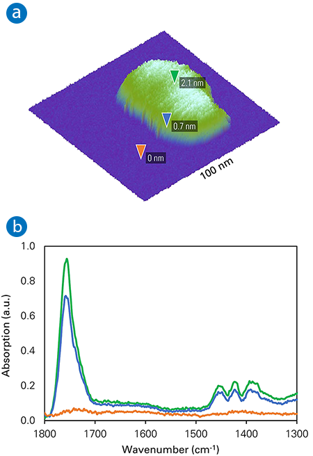 AFM-IR image and spectra of a thin PLA film sample on mica