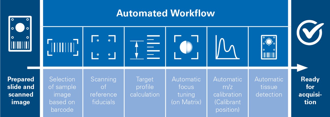 SCiLS™ autopilot workflow