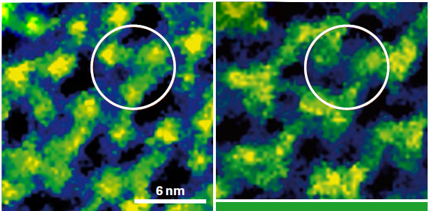 NanoWizard ULTRA Speed 2 - Bacteriorhodopsin (mutant D96N) photocycle 