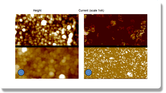 Dimension FastScan AFM - 카본 나노튜브의 현재 이미지