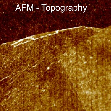 AFM topography showing graphene wrinkles and surface deformation