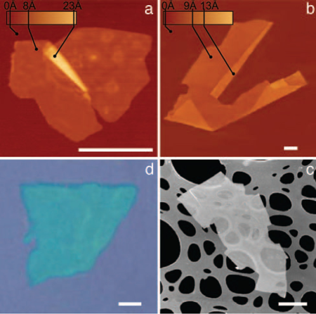 TappingMode images of NbSe2 (a) and Graphene (b) by the Graphene Nobel Prize recipient, using a Bruker MultiMode