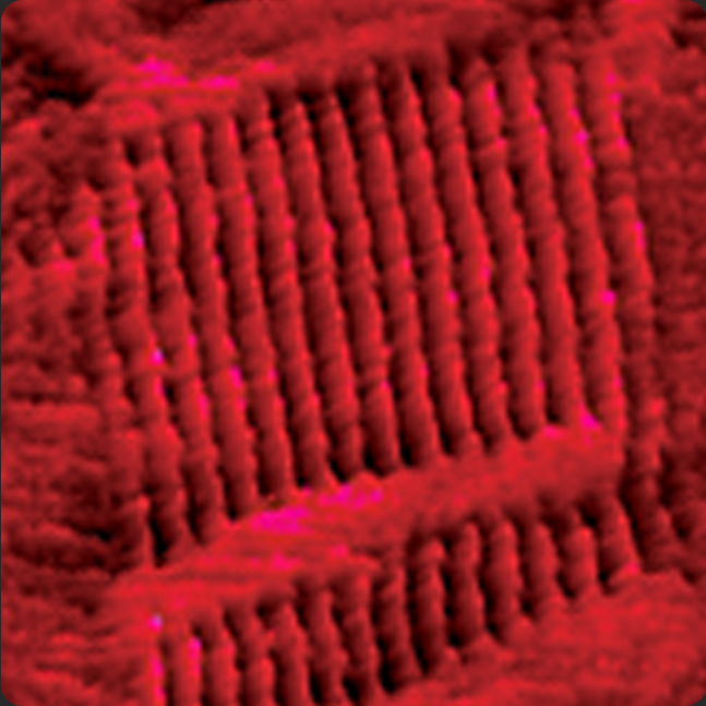 Dimension FastScan AFM - HOPG의 C36H74 알케인