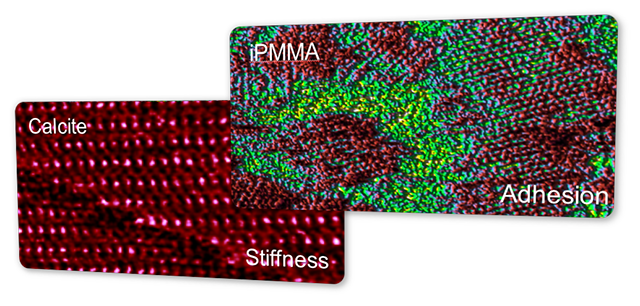 Dimension FastScan Stiffness and Adhesion