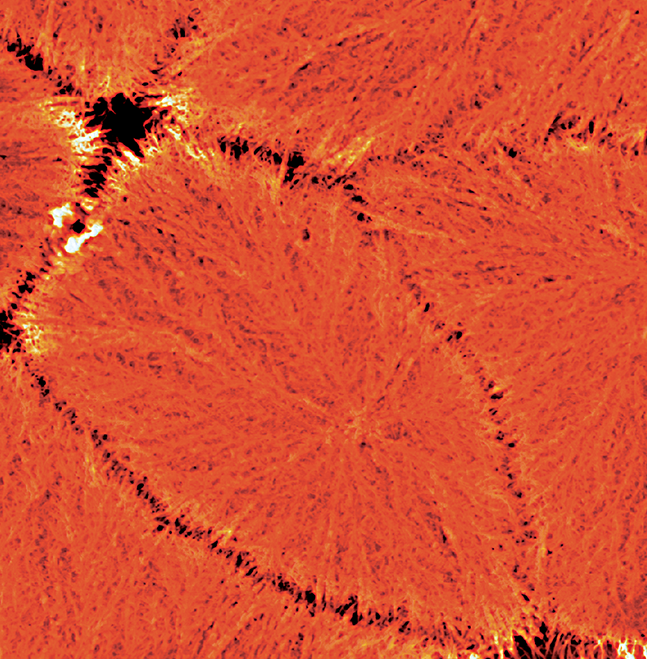 이노바 AFM - 합성 폴리프로필렌의 지형