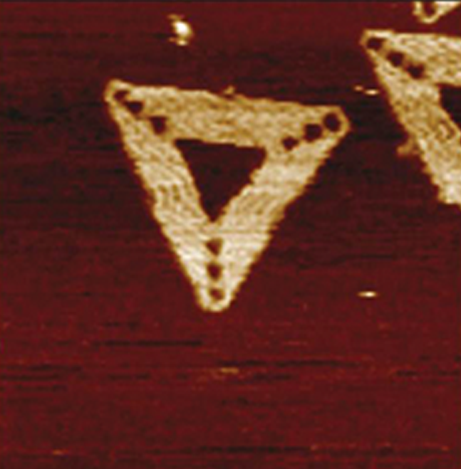 이노바 AFM - 액체로 이미지 된 미카의 종이 접기 DNA 