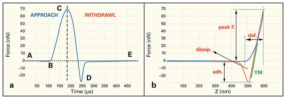 Graphs showing the working principle of PeakForce QNM