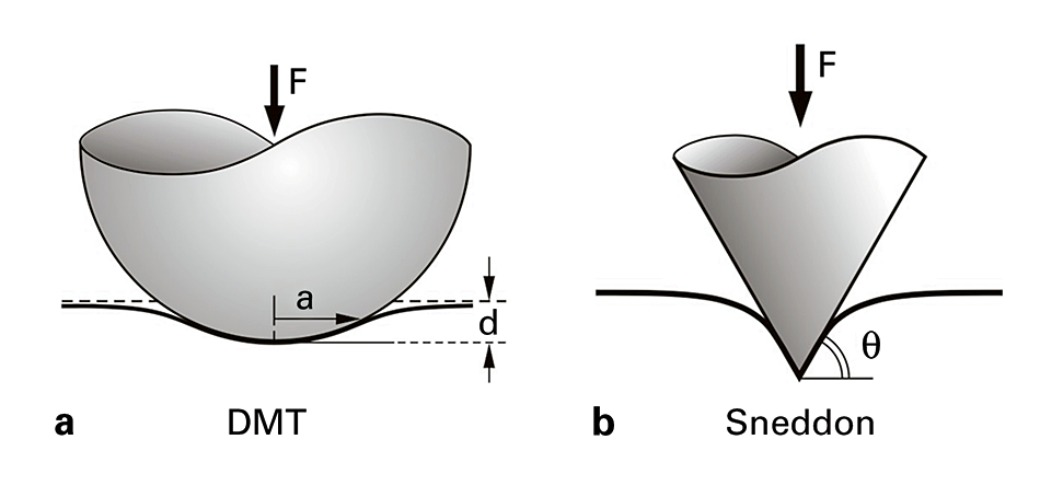 Image representing contact mechanics in AFM