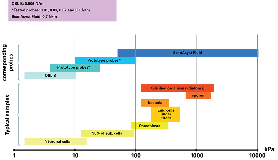 Range of compliance of various biological samples and corresponding AFM probes recommended for Peak Force Tapping.