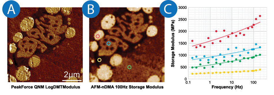 Mechanical property maps of COC, PP, LLDPE, and elastomer via PeakForce QNM and AFM-nDMA at 100Hz with stiffness spectra.