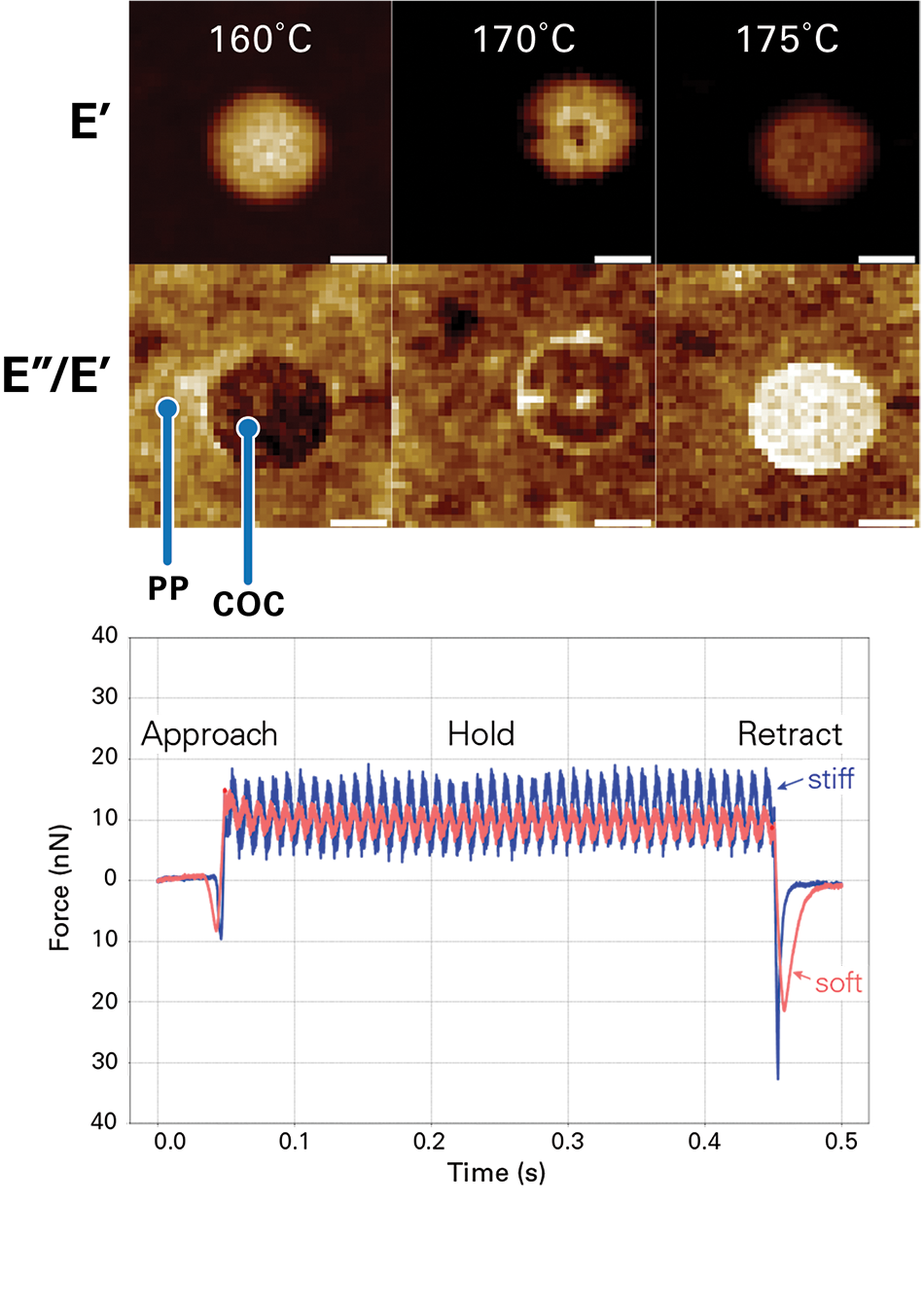The image features two parts, the left side and the right side. On the left side, there are two AFM-nDMA scans, each 2 µm in size, showing storage modulus (E', top row) and loss tangent (E''/E', bottom row) of a blend of polypropylene (PP) and cyclic olefin copolymer (COC) as a function of temperature. On the right side, there is a pair of AFM-nDMA ramps collected on a stiff material (blue) and a soft material (pink), showing a small amplitude oscillation during the hold segment.