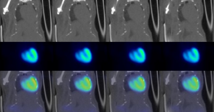 PET/CT | PET System | Preclincal CT | Total Body | Bruker