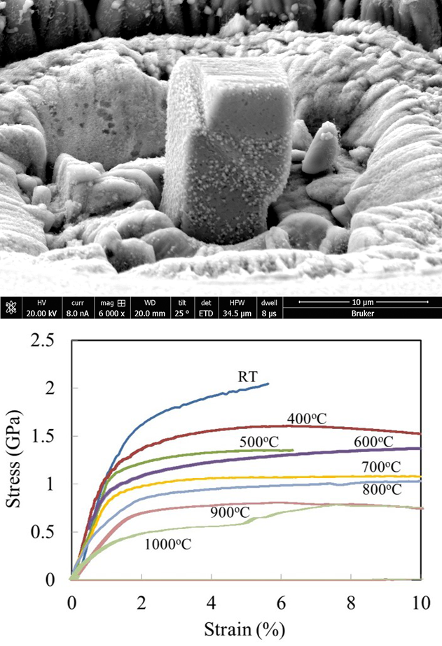 SEM and TEM Heating