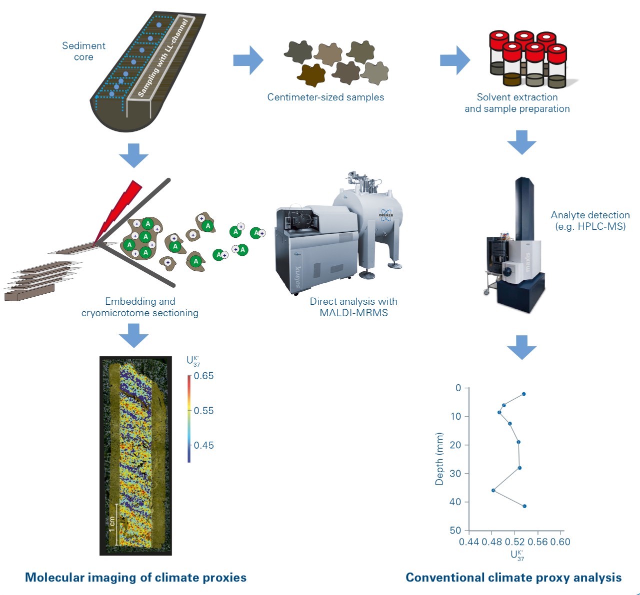 Schematic workflow of molecular imaging of marine sediments with MALDI-MRMS compared to conventional extraction based analysis by HPLC-MS.