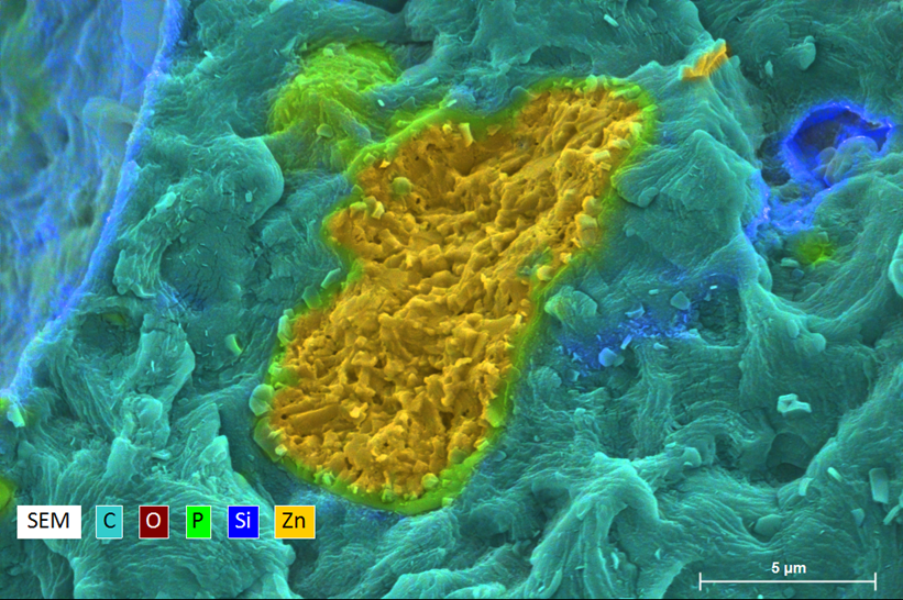 EDS analysis of fibers, polymers and ceramics – best practices 