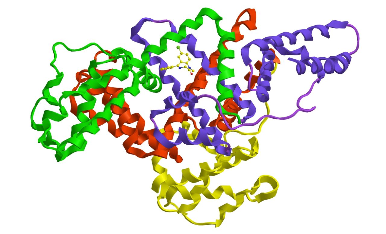 Protein structure diagram showing human serum albumin bonding to a diazepam molecule.