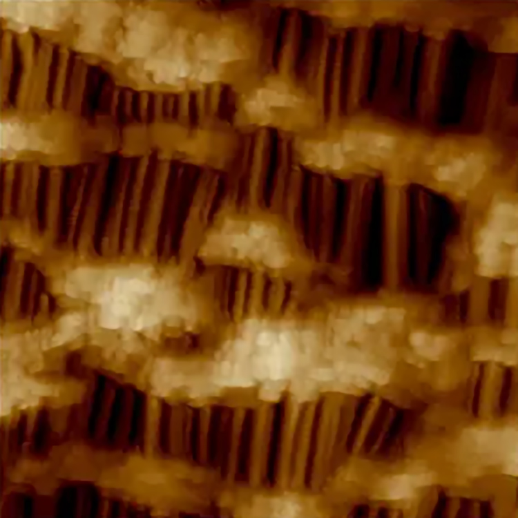 High-speed AFM topography image of Celgard