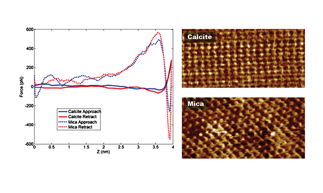 Dimension FastScan AFM - PeakForce Tapping Height Images and Force Curves