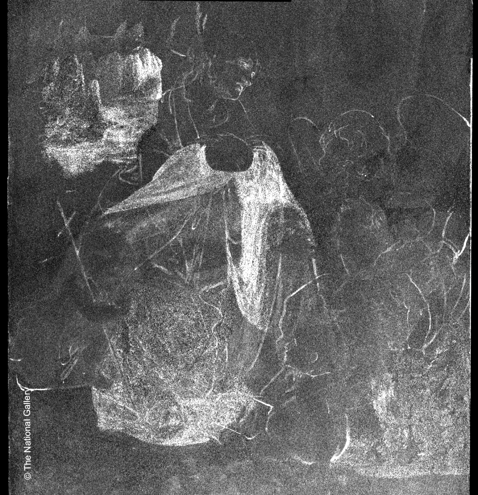Evolution of a Masterpiece: Da Vinci's "Virgin of the Rocks": Zinc map collected by the M6 JETSTREAM, showing Leonardo's original plan for the painting​